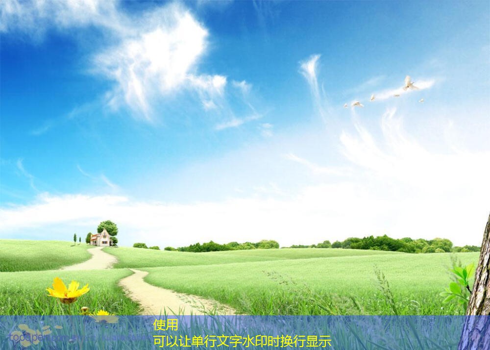 DWT屋頂風(fēng)機(jī)的市場(chǎng)前景與發(fā)展趨勢(shì)