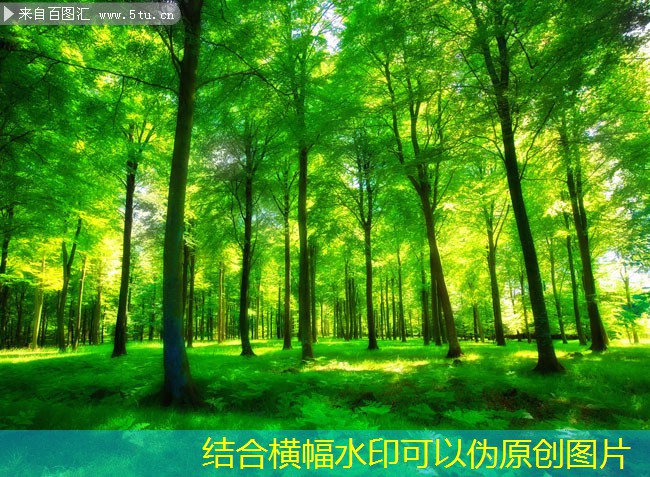 HL高效低噪混流風(fēng)機(jī)在家庭中的應(yīng)用