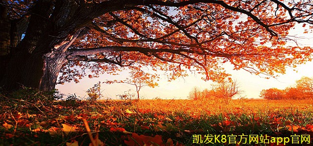 凱發(fā)K8官網(wǎng)地址T流式風(fēng)機(jī)在工業(yè)中的重要性