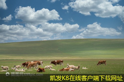凱發(fā)K8官方網(wǎng)站app官網(wǎng)YDF型射流式誘導(dǎo)風(fēng)機的噪音控制技術(shù)