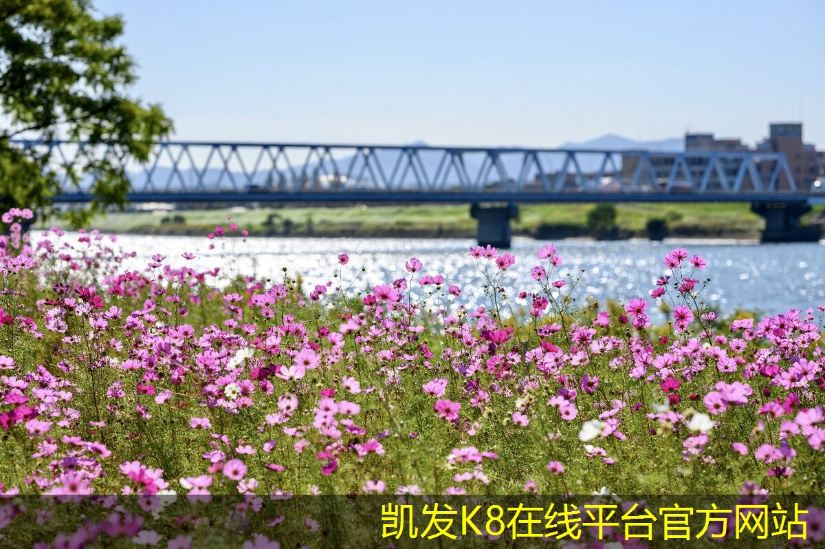 凱發(fā)K8官網(wǎng)地址YDF型射流式誘導(dǎo)風(fēng)機(jī)的節(jié)能優(yōu)勢