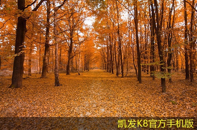 凱發(fā)K8官網(wǎng)地址一體化地埋式污水處理設(shè)備的市場前景分析