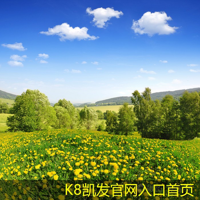 凱發(fā)K8官網(wǎng)平臺三面吹散流器的市場前景分析