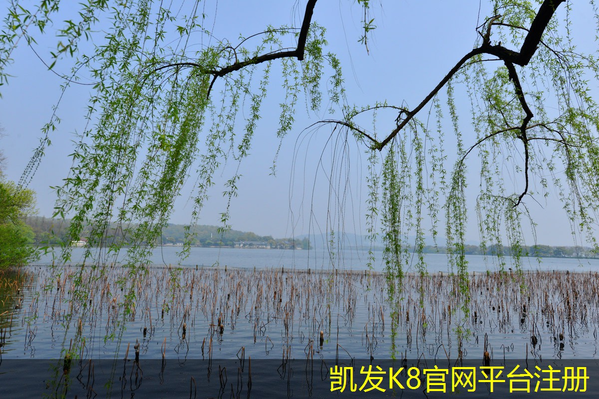 凱發(fā)K8官網(wǎng)下載客戶端不同類型消防排煙風(fēng)機(jī)的特點(diǎn)對(duì)比