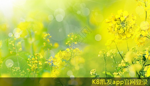 凱發(fā)K8官網(wǎng)登錄手機版從設計到應用詳解可拆式板式熱交換器