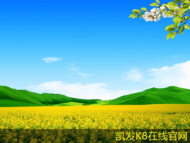 凱發(fā)K8官方網(wǎng)站余壓閥安裝注意事項和指南