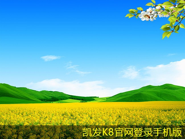 凱發(fā)K8在線手機(jī)客戶端app減振器在汽車懸掛系統(tǒng)中的應(yīng)用