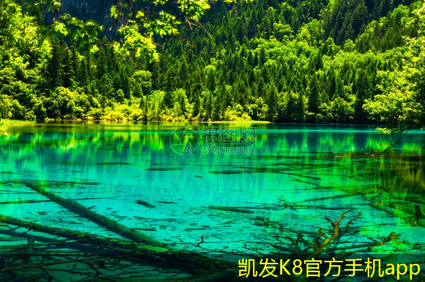 凱發(fā)K8官網(wǎng)平臺(tái)注冊減振器的材料選擇對(duì)性能的影響