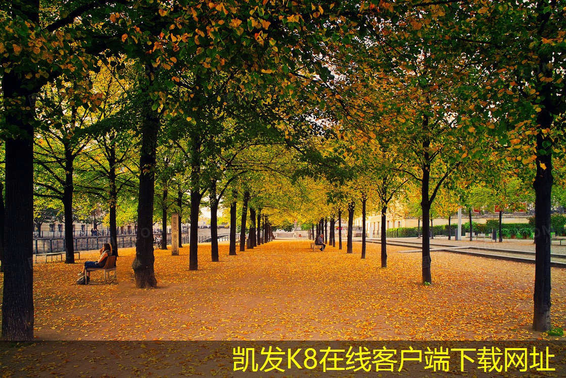 凱發(fā)K8官方手機app初中高效過濾器的價格與性價比分析
