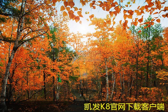 K8凱發(fā)官網(wǎng)入口首頁加熱器對健康的影響及合理使用方法
