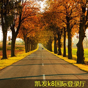 凱發(fā)K8官方手機(jī)app千層沙過(guò)濾器的工作原理揭秘