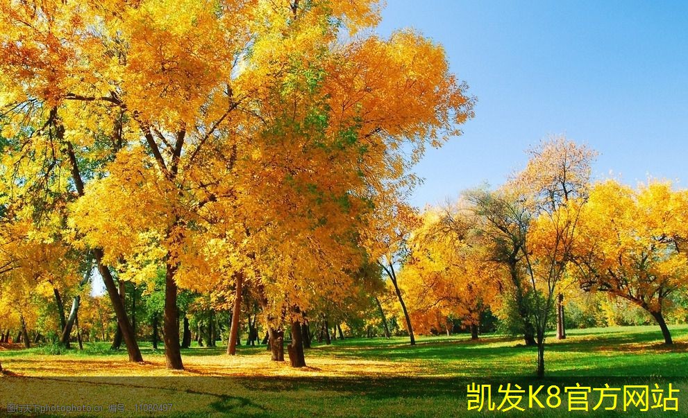 凱發(fā)K8官方網(wǎng)站app官網(wǎng)雙層百葉風(fēng)口的工作原理詳解