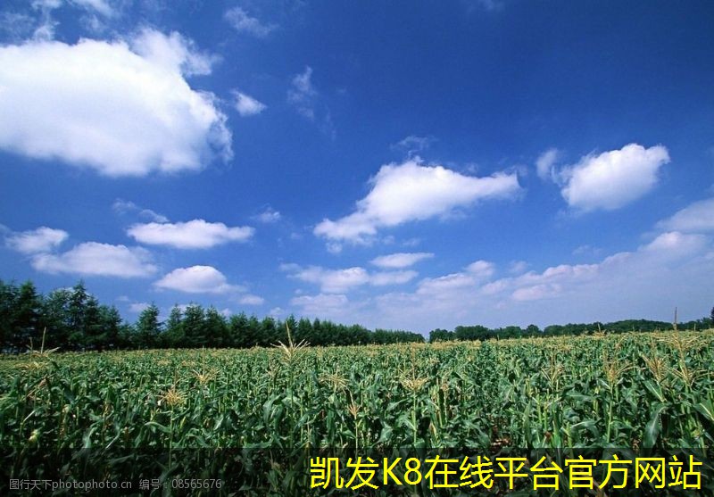 凱發(fā)k8國際(中國)官方網(wǎng)站·一觸即發(fā)雙層百葉風(fēng)口的設(shè)計(jì)與創(chuàng)新