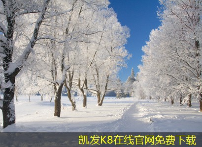 凱發(fā)K8官網(wǎng)手機(jī)版下載可拆式板式熱交換器與傳統(tǒng)熱交換器的比較