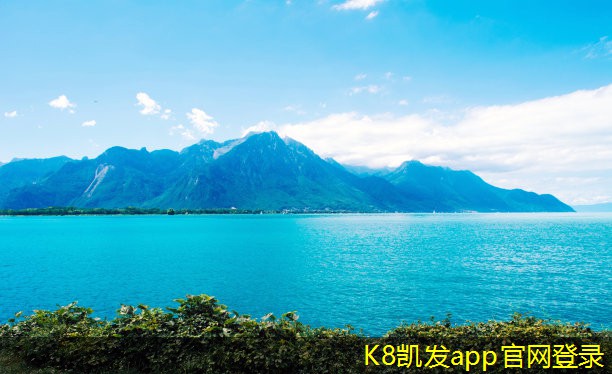 K8凱發(fā)app平臺可拆式板式熱交換器在制冷領(lǐng)域的優(yōu)勢
