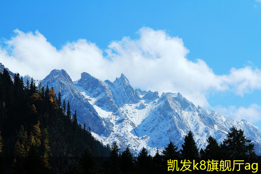 凱發(fā)K8官方手機app可拆式板式熱交換器的市場前景展望