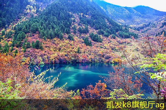 凱發(fā)k8國(guó)際(中國(guó))官方網(wǎng)站·一觸即發(fā)可拆式板式熱交換器的技術(shù)創(chuàng)新動(dòng)態(tài)