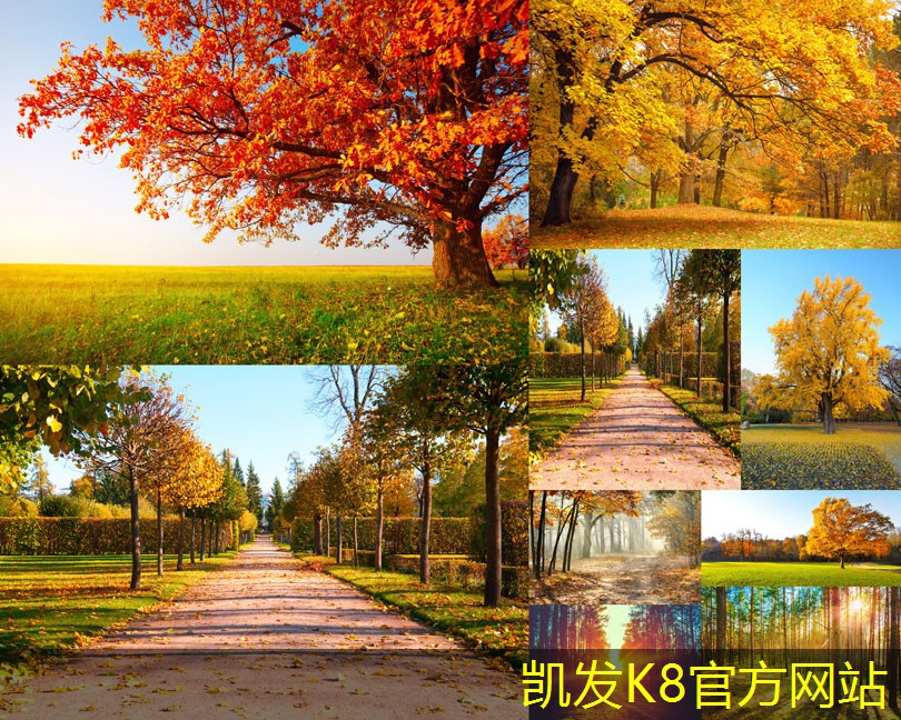 凱發(fā)k8旗艦廳ag吊式彈簧減振器的設(shè)計(jì)原則與注意事項(xiàng)
