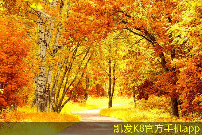 凱發(fā)K8在線手機(jī)客戶端app圓形散流器在工業(yè)應(yīng)用中的優(yōu)勢(shì)