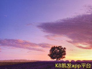 凱發(fā)K8官方手機版圓形散流器的未來技術展望