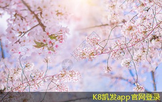 凱發(fā)k8國際首頁登錄在高溫環(huán)境中使用調(diào)節(jié)閥的注意事項
