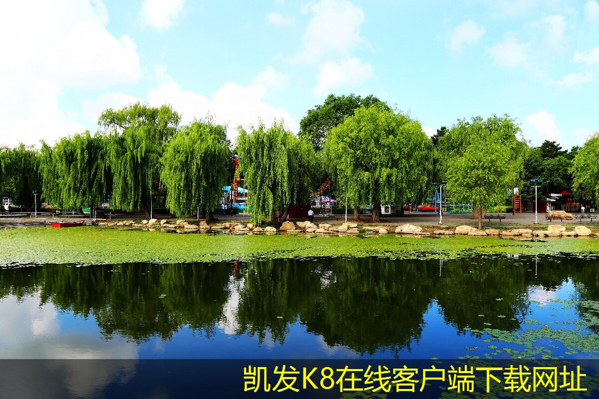 凱發(fā)K8官網(wǎng)登錄手機(jī)版地上式一體化設(shè)備的國際市場競爭力分析