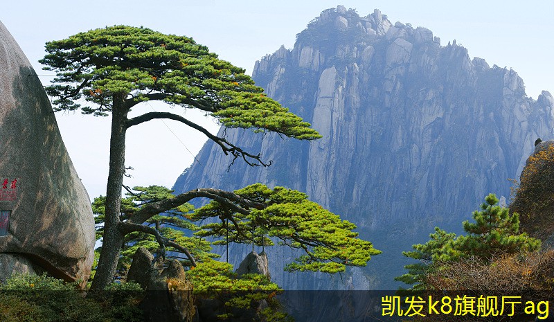 凱發(fā)K8官網(wǎng)平臺注冊地上式一體化設(shè)備的市場現(xiàn)狀與未來展望