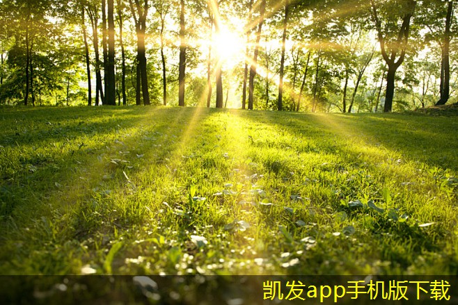 凱發(fā)K8官網(wǎng)平臺地送風(fēng)固定百葉風(fēng)口的優(yōu)勢與應(yīng)用