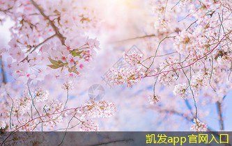 凱發(fā)K8官方網(wǎng)站多葉排煙口的安裝位置選擇技巧