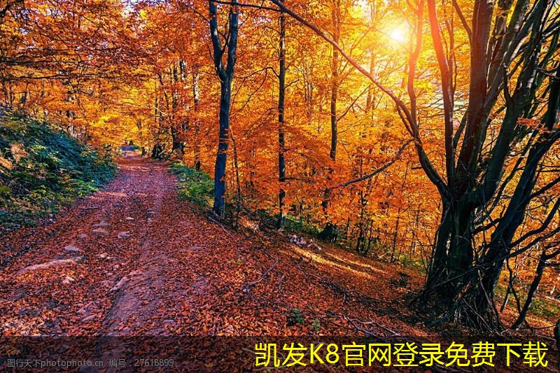 凱發(fā)k8國(guó)際(中國(guó))官方網(wǎng)站·一觸即發(fā)如何優(yōu)化圓形斜片散流器的性能