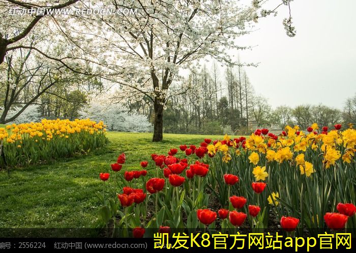 凱發(fā)app手機版下載如何優(yōu)化條形散流器的安裝位置