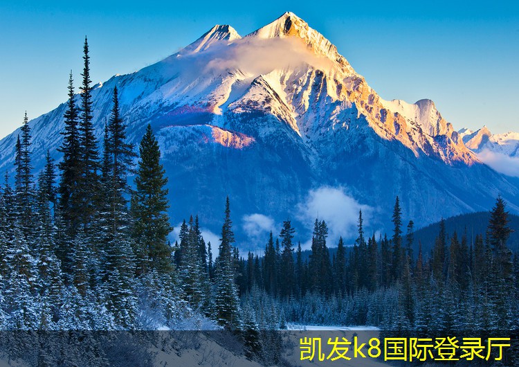 凱發(fā)K8官網(wǎng)下載客戶端如何挑選適合家庭的加熱器