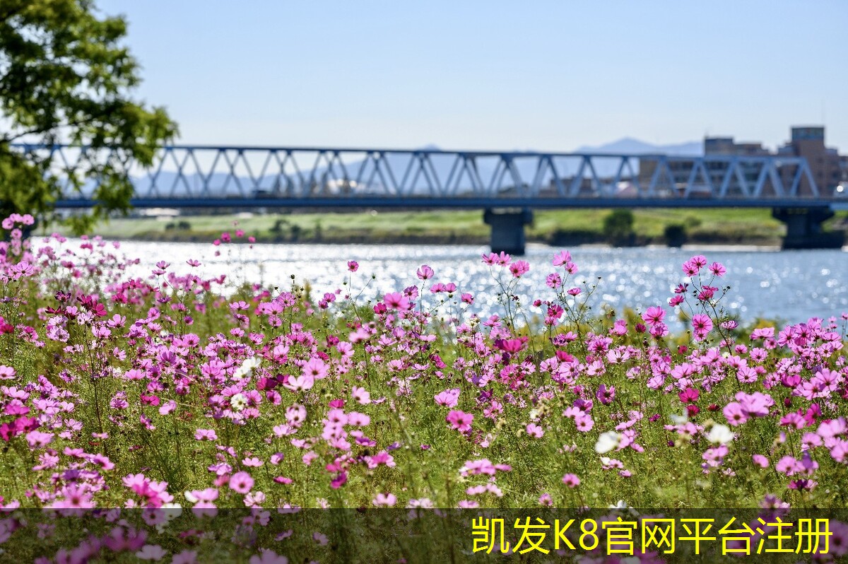 凱發(fā)K8官方網(wǎng)站如何清潔和保養(yǎng)地送風(fēng)固定百葉風(fēng)口