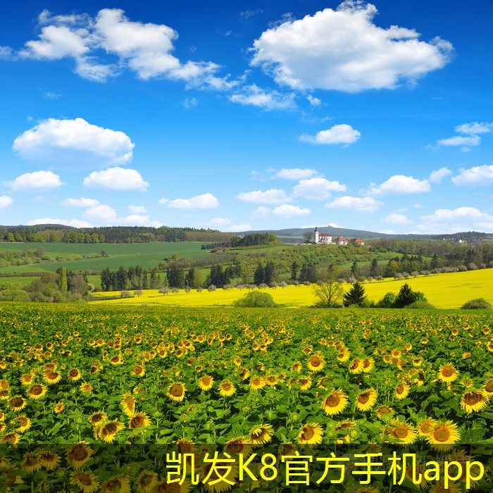 K8凱發(fā)app官網(wǎng)登錄如何選擇適合的T流式風(fēng)機(jī)
