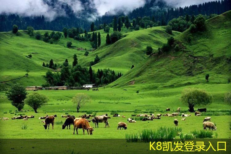 凱發(fā)K8官網(wǎng)地址如何選擇適合的多介質(zhì)過濾器