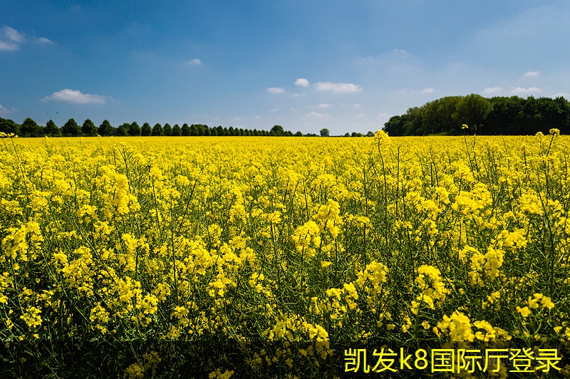 凱發(fā)K8官網(wǎng)地址定風量閥與風機的協(xié)同工作