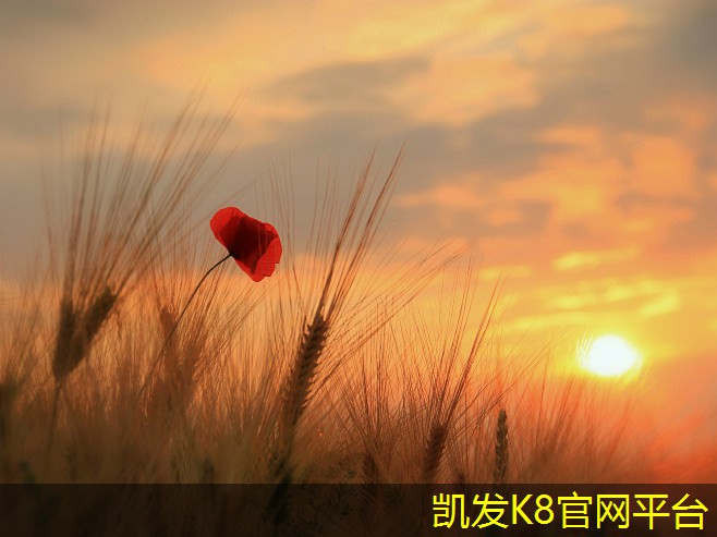 凱發(fā)K8官網(wǎng)地址實現(xiàn)舒適環(huán)境的地送風(fēng)固定百葉風(fēng)口選擇