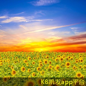 凱發(fā)K8官方手機版屋頂自然通風機與空調(diào)系統(tǒng)的優(yōu)劣對比