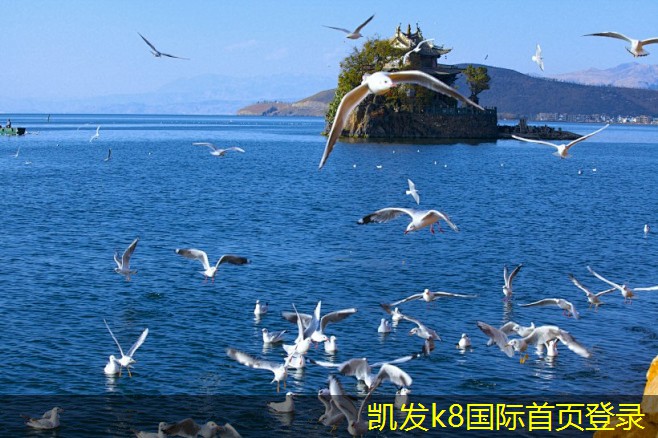 凱發(fā)K8官方網(wǎng)站app官網(wǎng)屋頂自然通風(fēng)機(jī)如何助力綠色建筑