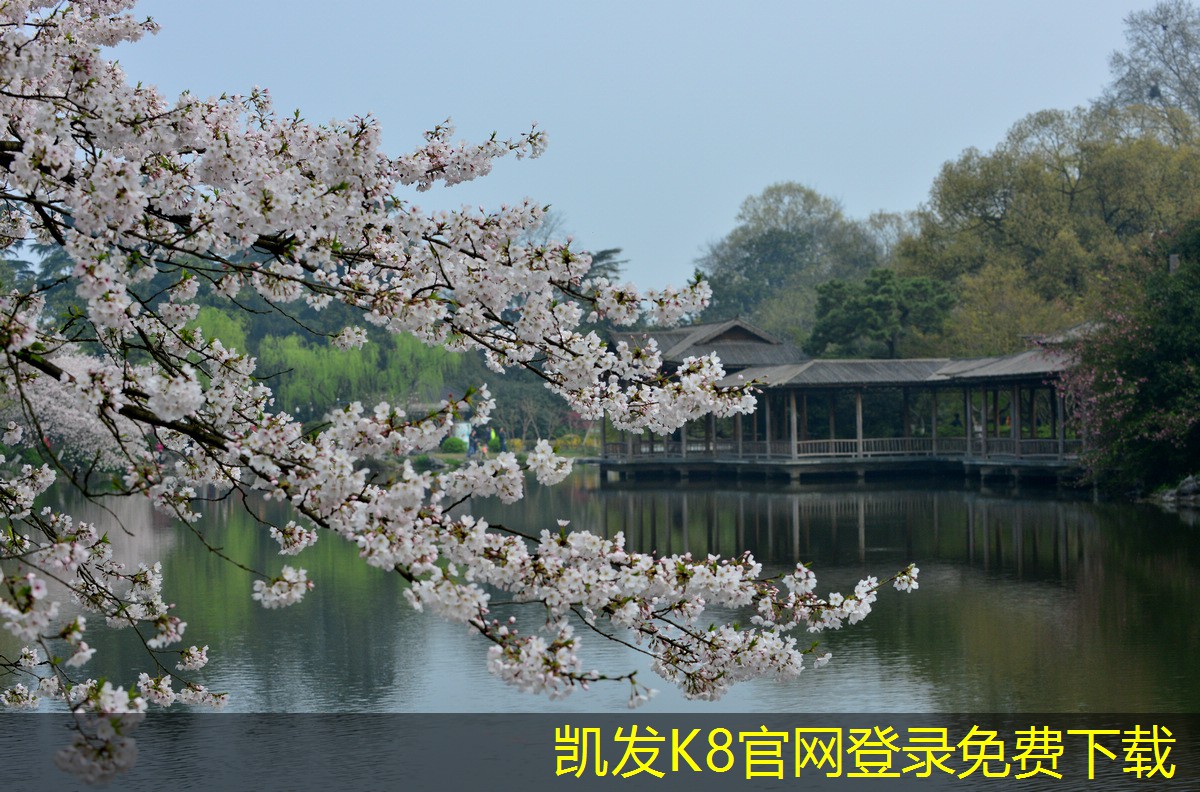 凱發(fā)k8旗艦廳ag市場上熱門的擋水板品牌推薦