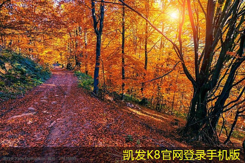 K8凱發(fā)app官網(wǎng)常見定風(fēng)量閥類型對比
