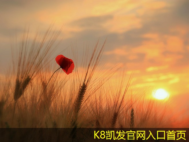 K8凱發(fā)app官網登錄常見的三面吹散流器故障及解決方案