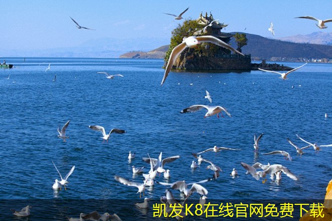 凱發(fā)K8官網(wǎng)地址座椅旋流風(fēng)口的安裝步驟詳解