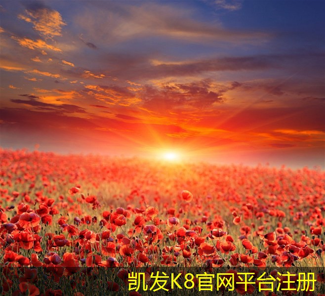 凱發(fā)K8官方手機(jī)app影響止回閥性能的因素
