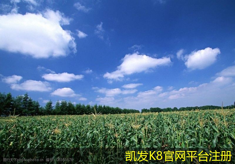 凱發(fā)K8官方手機版怎樣利用擋水板改善地形 drainage