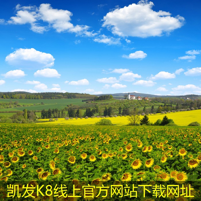 凱發(fā)K8在線平臺官方網(wǎng)站手輪式渦輪蝸桿風(fēng)閥的流體動力學(xué)分析