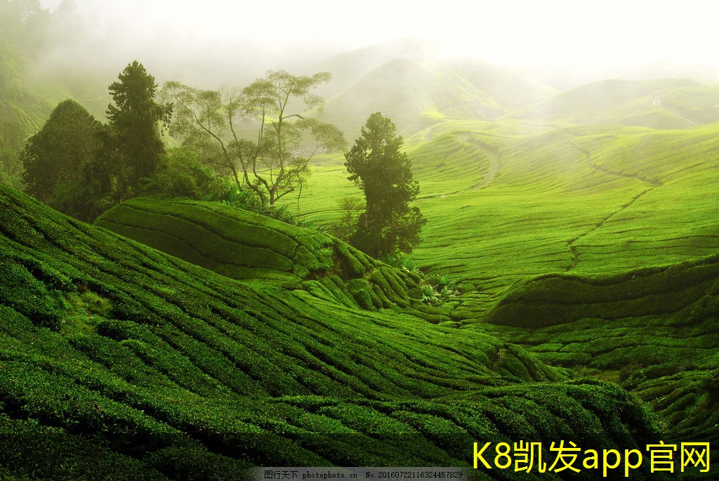 凱發(fā)k8國際登錄廳提升效率的SJG斜流式風(fēng)機(jī)維護(hù)技巧