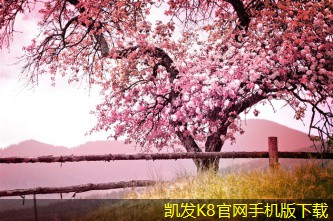 K8凱發(fā)app平臺(tái)提升空氣流通效率的圓形散流器