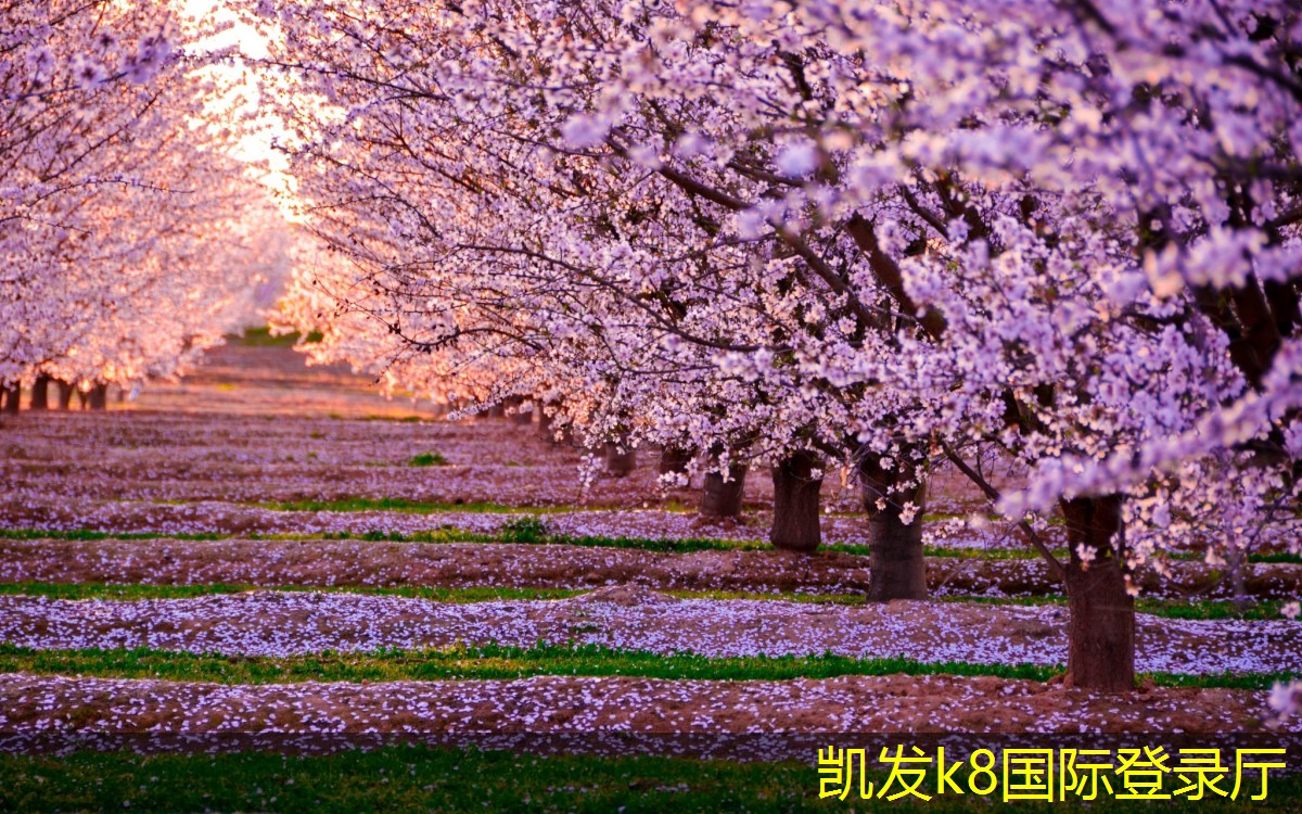 凱發(fā)k8旗艦廳ag提高水質(zhì)的秘密武器多介質(zhì)過濾器