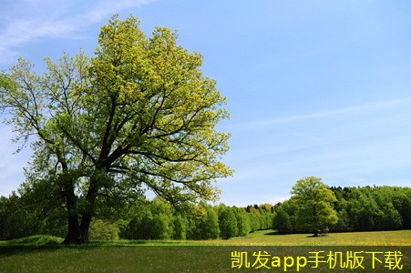 凱發(fā)K8官網(wǎng)平臺(tái)提高能效的可拆式板式熱交換器設(shè)計(jì)